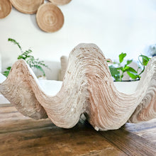 Resin Clam Shell large - Antique White