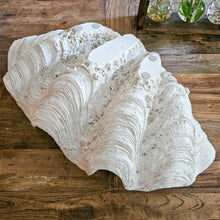 Resin Clam Shell large - Antique White