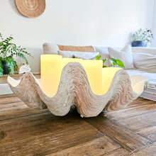 Resin Clam Shell large - Antique White
