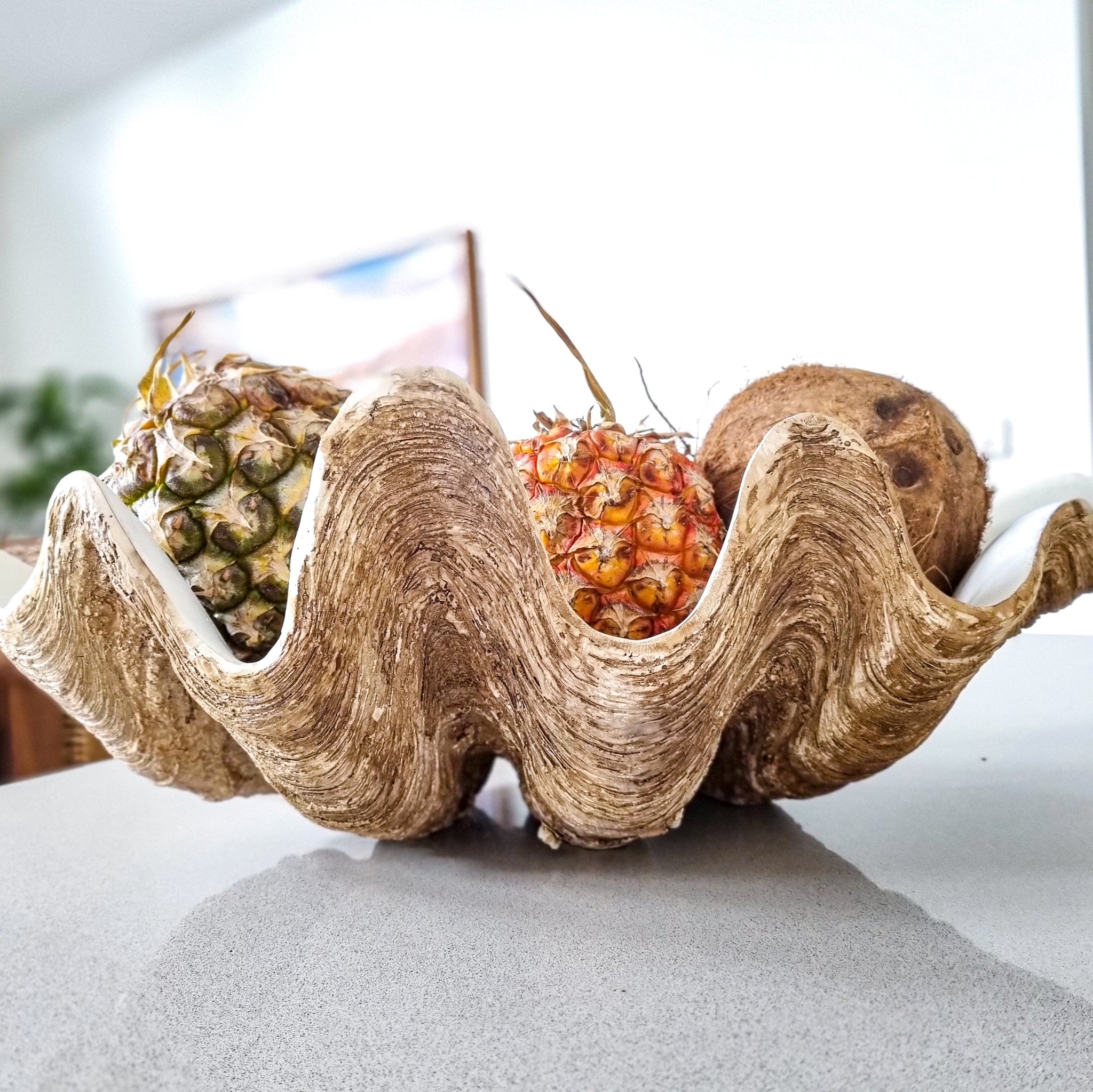 Coastal Clam Shell decor-large-resin – Coastal Boheme Collective