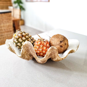 Realistic faux clam shell, large. Coastal bohemian style decor