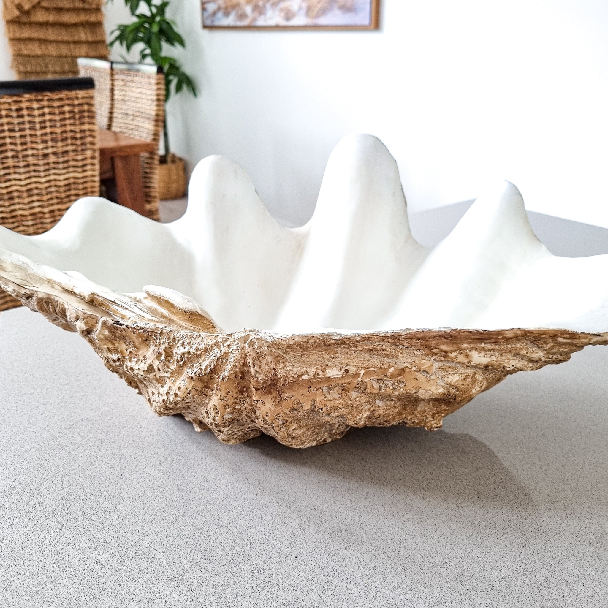 Coastal Clam Shell decor-large-resin – Coastal Boheme Collective
