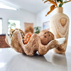 Realistic faux clam shell, large. Coastal bohemian style decor