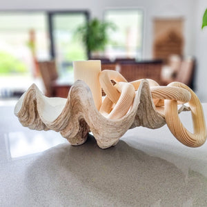 Realistic faux clam shell antique white size medium