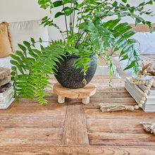 Raya Teak Timber Riser