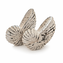 Elara Coastal Shell Sculpture Set