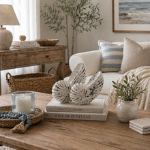 Elara Coastal Shell Sculpture Set