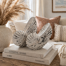 Elara Coastal Shell Sculpture Set