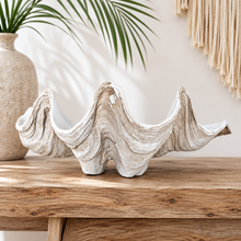 Resin Clam Shell - Medium