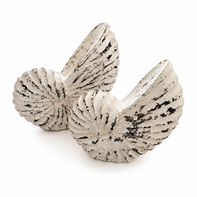 Elara Coastal Shell Sculpture Set
