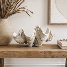 Resin Clam Shell - Medium