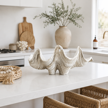 Resin Clam Shell - Medium