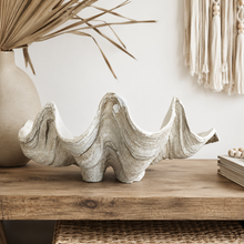 Resin Clam Shell - Medium