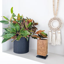 Monstera Cylinder Pot/Vase Black